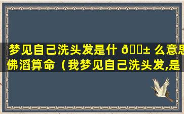 梦见自己洗头发是什 🐱 么意思佛滔算命（我梦见自己洗头发,是什么意思）